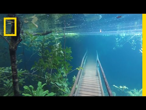 Heavy Rains Submerge Hiking Trails in Crystal Clear Waters | National Geographic - UCpVm7bg6pXKo1Pr6k5kxG9A