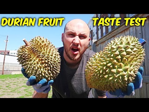 Durian Fruit Taste Test - UCe_vXdMrHHseZ_esYUskSBw