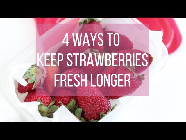 How to Preserve Fresh Picked Strawberries