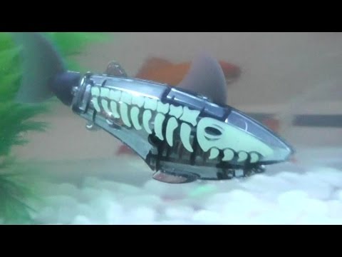 Shark Toys Robotic Shark - UCsFctXdFnbeoKpLefdEloEQ