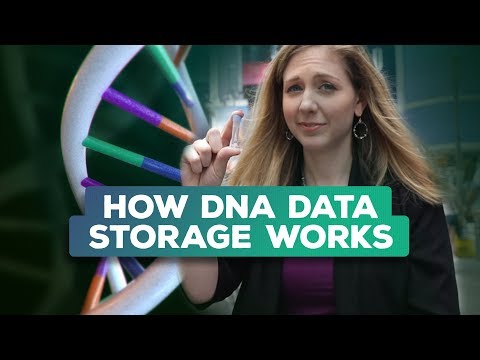 Is synthetic DNA the future of data storage? (Bridget Breaks It Down) - UCOmcA3f_RrH6b9NmcNa4tdg