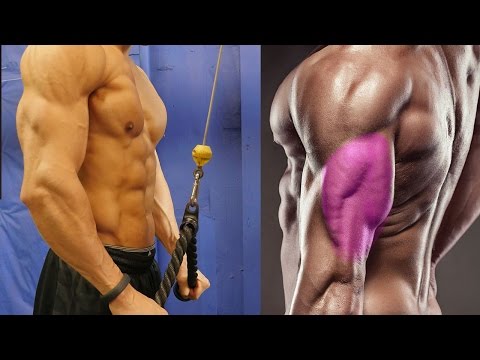 The Best Way To Do Tricep Extensions - UCH9ciCUcWavMsFcAJtLUSyw