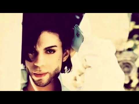 Pink Cashmere - Prince