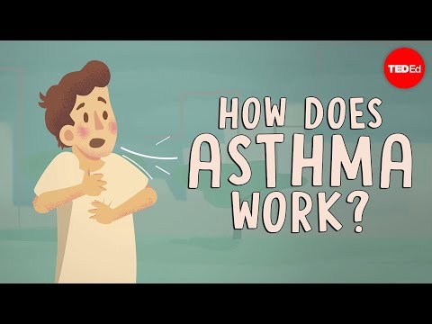 How does asthma work? - Christopher E. Gaw - UCsooa4yRKGN_zEE8iknghZA