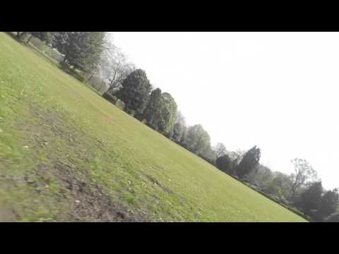 The Jungle. Raw video version. - UCtpl0iFEzsrT9BW4ig-WBQA