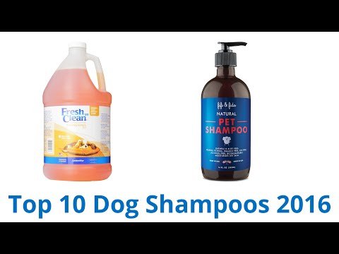 10 Best Dog Shampoos 2016 - UCXAHpX2xDhmjqtA-ANgsGmw