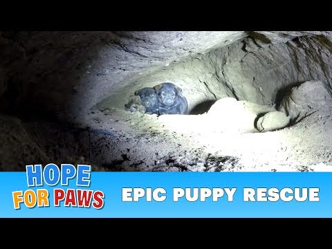 Epic puppy rescue - 18 feet into the earth!!!  Dangerous Hope For Paws rescue! - UCdu8QrpJd6rdHU9fHl8J01A