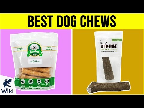 10 Best Dog Chews 2019 - UCXAHpX2xDhmjqtA-ANgsGmw