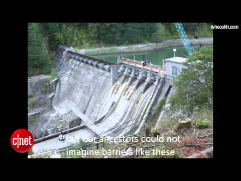 Crave - Whooshh transport launches salmon at 22 mph, saving lives, Ep. 170 - UCOmcA3f_RrH6b9NmcNa4tdg
