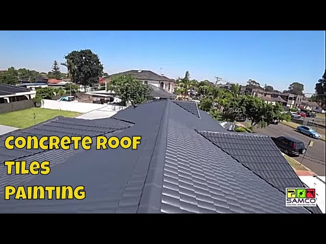 Can You Paint A Tile Roof StuffSure