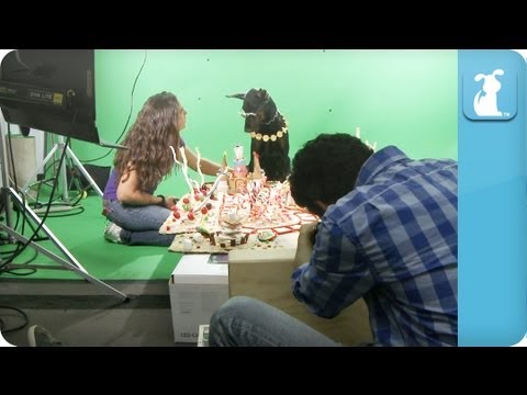 Behind the Scenes - Katy Puppy - California Grrrs - UCPIvT-zcQl2H0vabdXJGcpg