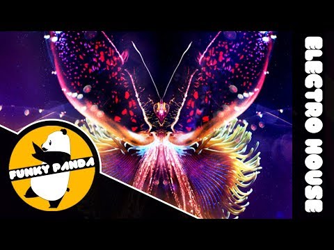 Electro House | Tritonal feat. Riley Clemmons - Out My Mind (Zack Martino Extended Mix) - UCUHhoftNnYfmFp1jvSavB-Q