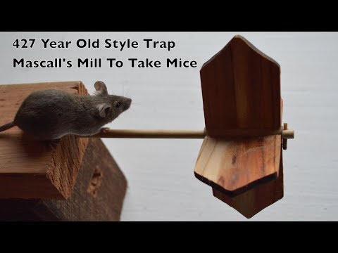 427 Year Old Style Mouse Trap In Action - Mascall's Mill To Take Mice - UCYbru-MPO1xjes4FVn61JUQ