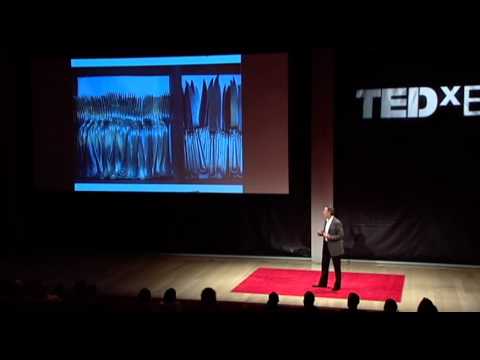 The reach of a restaurant: Thomas Keller at TEDxEast - UCsT0YIqwnpJCM-mx7-gSA4Q