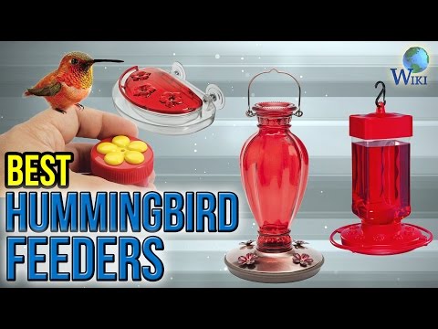 10 Best Hummingbird Feeders 2017 - UCXAHpX2xDhmjqtA-ANgsGmw