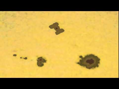 Space Station Spotted Crossing Sunspot - UCVTomc35agH1SM6kCKzwW_g