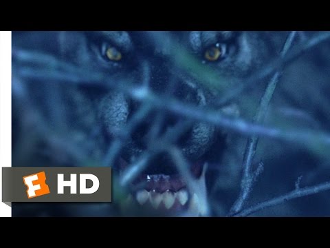 Van Helsing (1/10) Movie CLIP - Werewolf on the Loose (2004) HD - UC3gNmTGu-TTbFPpfSs5kNkg