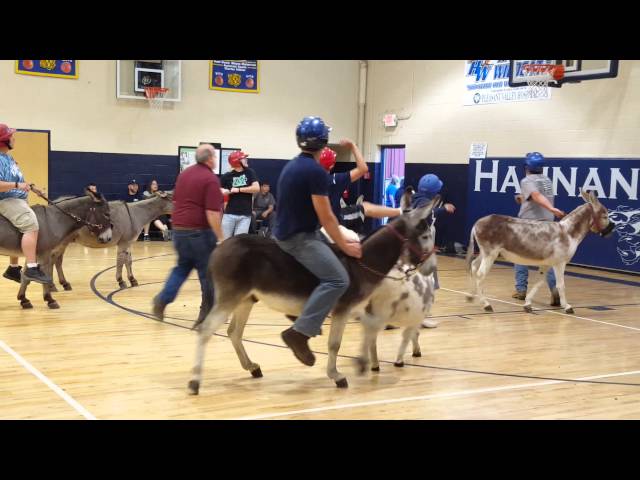 Donkey Basketball: A Sport for Everyone?