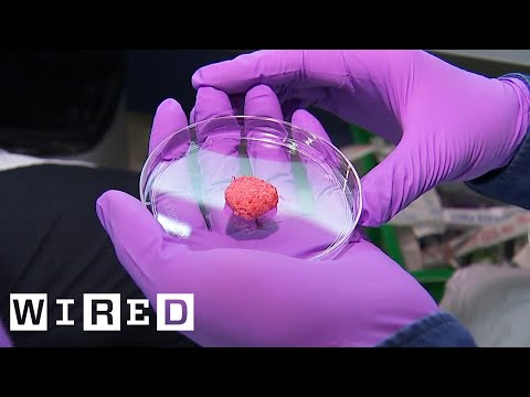 Inside the Quest to Make Lab Grown Meat | WIRED - UCftwRNsjfRo08xYE31tkiyw