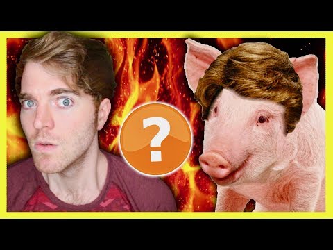 SHANE DAWSON IS A PIG? - CONSPIRACY THEORY - UCV9_KinVpV-snHe3C3n1hvA