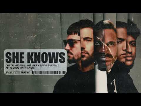 Dimitri Vegas & Like Mike, David Guetta, Afro Bros - She Knows [with Akon] (Visualizer)