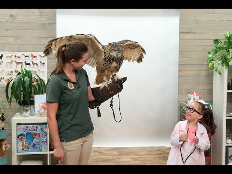 'She’s Brielle-iant': Veterinary Edition with Sloths, Owls, and More