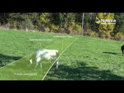 Nofence AS solar-powered GPS animal collar - UCCjyq_K1Xwfg8Lndy7lKMpA