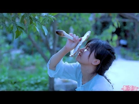 How to make a Chinese delicious mushroom meal? 甚于肉味的治愈美食，带些雨露的清甜——鸡枞菌|Liziqi channel