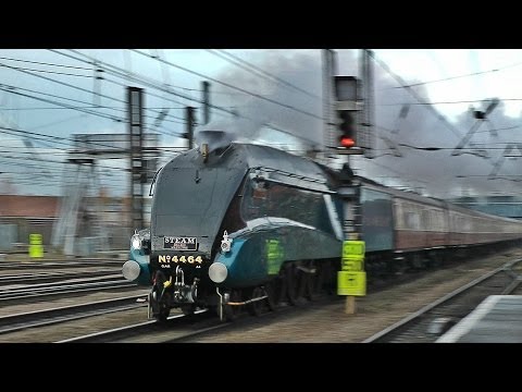 4464 Bittern - The Capital Streak - 07/12/13 - UCG-6mVK_U_f542Rn7QN-5qQ