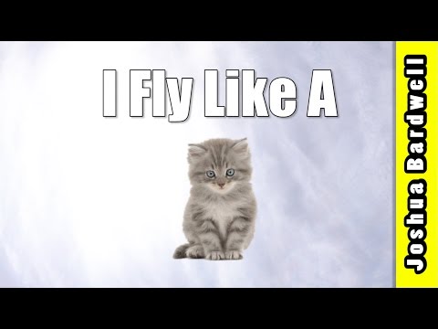 I Fly Like A Kitten - UCX3eufnI7A2I7IkKHZn8KSQ