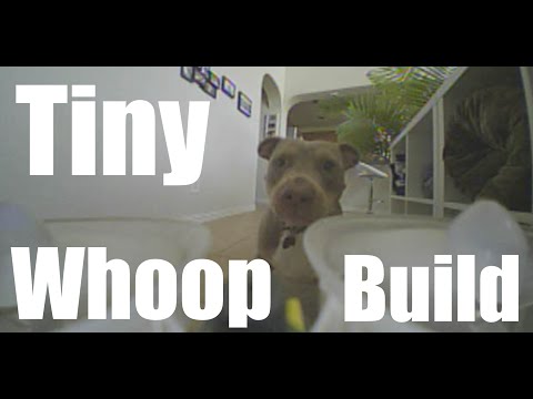 How to build a Tiny Whoop - UCoS1VkZ9DKNKiz23vtiUFsg