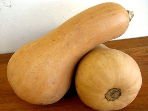 Butternut Squash 101 - UCj0V0aG4LcdHmdPJ7aTtSCQ