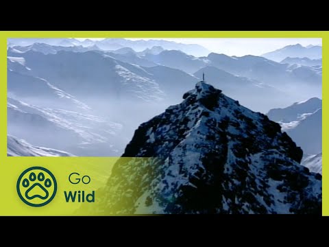 The Black Mountain - The Secrets of Nature - UCVGTgXC1P--xM480Z6DqyAg