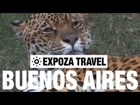 Buenos Aires Vacation Travel Video Guide - UC3o_gaqvLoPSRVMc2GmkDrg