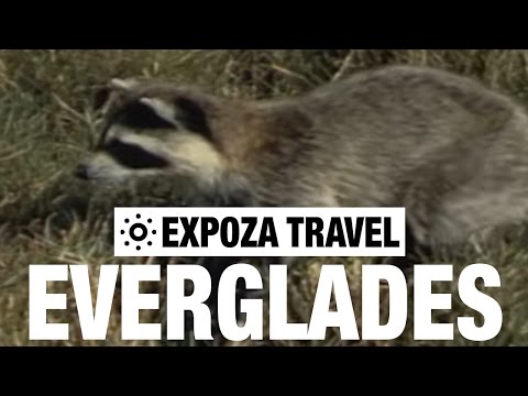 Everglades National Park Travel South Florida USA Video Guide - UC3o_gaqvLoPSRVMc2GmkDrg