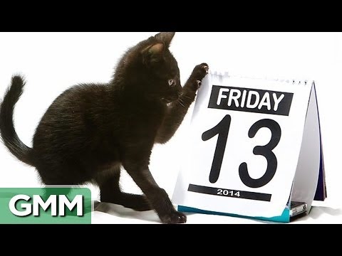 Friday the 13th Facts - UC4PooiX37Pld1T8J5SYT-SQ