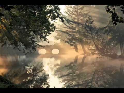 Play and Pause Nature: Morning Mist - UCJv9G8-4Gca6NxEtUzNQz8w