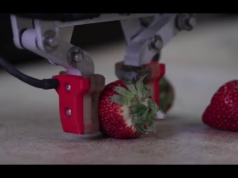 Robotic Materials makes robotics hands for factory environments - UCCjyq_K1Xwfg8Lndy7lKMpA