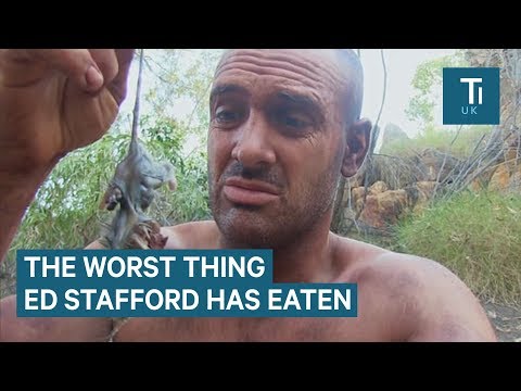 The best and worst things Ed Stafford has eaten to stay alive - UCcyq283he07B7_KUX07mmtA