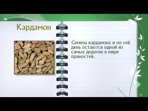 Кулинарная энциклопедия - Кардамон - UC7XBjhXnmmXFsxmnys9PmDQ