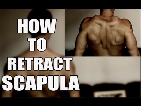 The Best Cue for Scapula Retraction - UCHZ8lkKBNf3lKxpSIVUcmsg