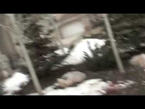 acrobatic plane crash into tree - UCq2rNse2XX4Rjzmldv9GqrQ