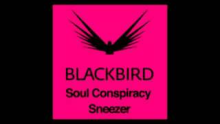 Soul Conspiracy - Sneezer