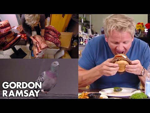 The Most Ridiculous Moments On Kitchen Nightmares - UCIEv3lZ_tNXHzL3ox-_uUGQ