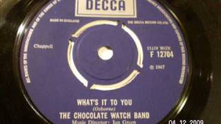 CHOCOLATE WATCH BAND - What's it to you