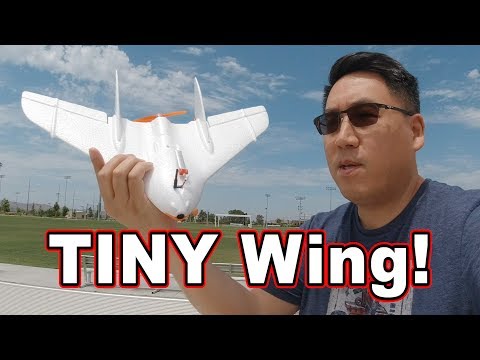 World's Smallest FPV Wing // LDARC Tiny Wing ✈️ - UCnJyFn_66GMfAbz1AW9MqbQ