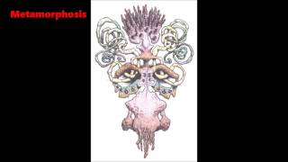 Metamorphosis - Cheshyre