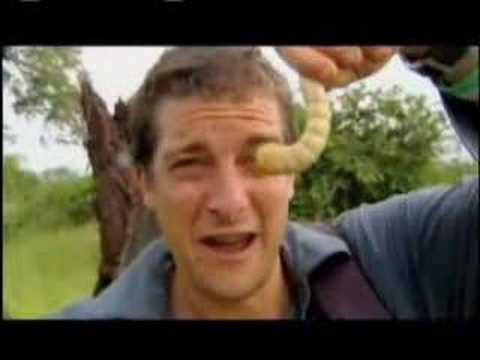 Man vs. Wild - Eating Giant Larva - UCqOoboPm3uhY_YXhvhmL-WA