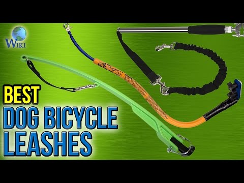 7 Best Dog Bicycle Leashes 2017 - UCXAHpX2xDhmjqtA-ANgsGmw