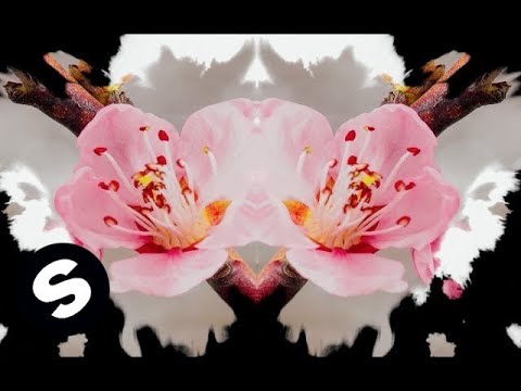 EDX - Bloom (Official Music Video) - UCpDJl2EmP7Oh90Vylx0dZtA